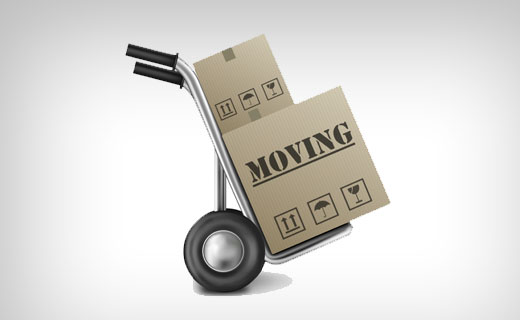 Free Moving