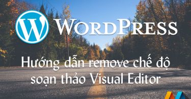 Hướng dẫn remove chế độ soạn thảo Visual Editor trong Wordpress