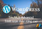 TinyMCE Advanced – Mở rộng chức năng cho trình soạn thảo WordPress