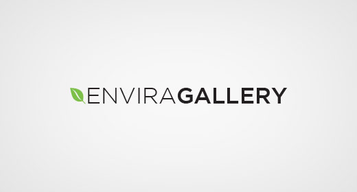 Envira Gallery