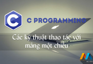 Các kỹ thuật thao tác với mảng một chiều