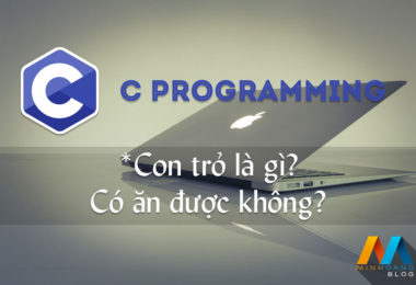 Con trỏ là gì? Có ăn được không?