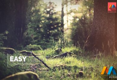 Elegant Slideshow After Effects Template