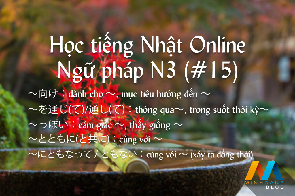 Ngữ pháp N3 (Bài 15/22) - Giáo trình 耳から覚える N3 文法