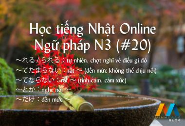 Ngữ pháp N3 (Bài 20/22) - Giáo trình 耳から覚える N3 文法