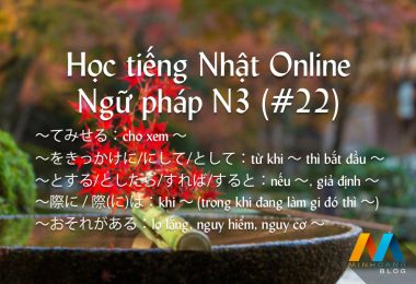 Ngữ pháp N3 (Bài 22/22) - Giáo trình 耳から覚える N3 文法