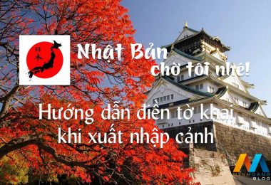 Hướng dẫn điền tờ khai khi xuất nhập cảnh