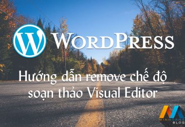 Hướng dẫn remove chế độ soạn thảo Visual Editor trong Wordpress