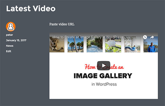 Video embedded in a WordPress blog post