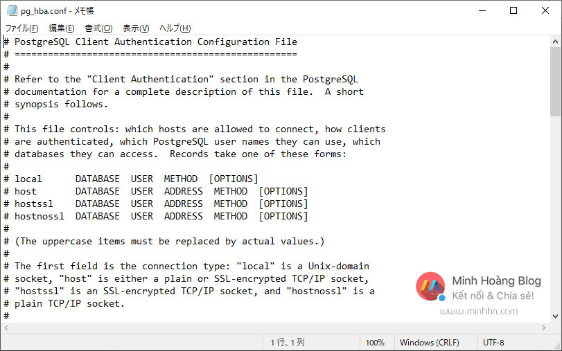 Cách cài đặt file pg_hba.conf - Hình 2