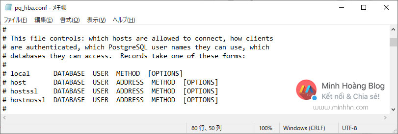 Cách cài đặt file pg_hba.conf - Hình 3