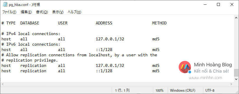 Cách cài đặt file pg_hba.conf - Hình 4