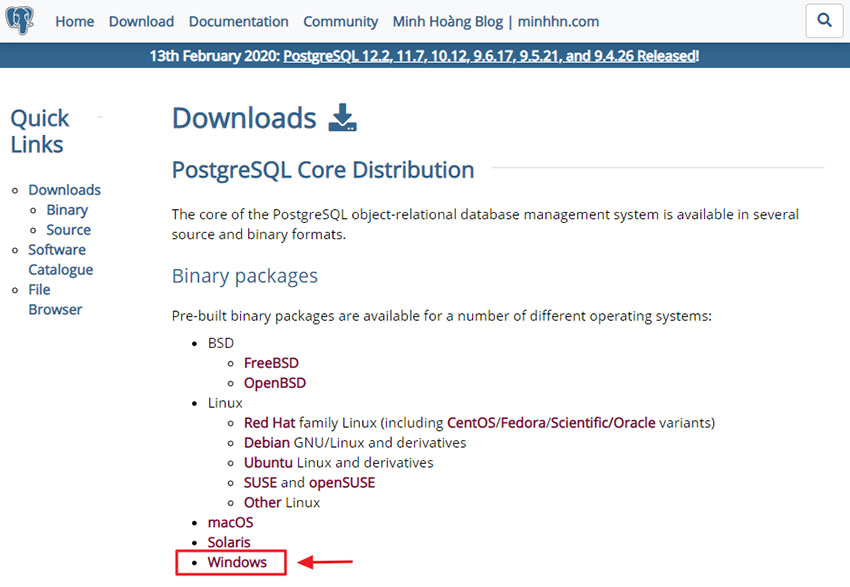 PostgreSQL là gì? Hướng dẫn download và cài đặt - Hình 2